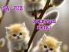 njqctau5